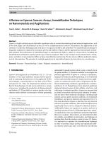 A Review on Lipases: Sources, Assays, Immobilization Techniques on Nanomaterials and Applications