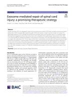 Exosome-mediated repair of spinal cord injury: a promising therapeutic strategy