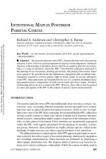 INTENTIONAL MAPS IN POSTERIOR PARIETAL CORTEX
