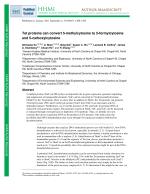 Tet proteins can convert 5-methylcytosine to 5-formylcytosine and 5-carboxylcytosine