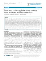 Bone regenerative medicine: classic options, novel strategies, and future directions