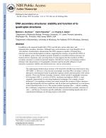 DNA secondary structures: stability and function of G-quadruplex structures