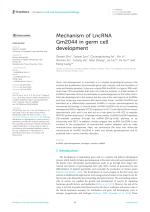 Mechanism of LncRNA Gm2044 in germ cell development