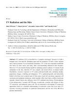 UV Radiation and the Skin