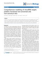 Comprehensive modeling of microRNA targets predicts functional non-conserved and non-canonical sites