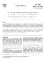 Cost-sensitive boosting for classification of imbalanced data
