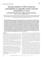 Genetic ablation of Nrf2 enhances susceptibility to cigarette smoke-induced emphysema in mice
