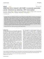 tiRNA-Val-CAC-2 interacts with FUBP1 to promote pancreatic cancer metastasis by activating c-MYC transcription