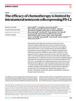 The efficacy of chemotherapy is limited by intratumoral senescent cells expressing PD-L2
