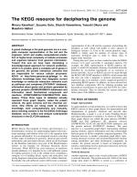 The KEGG resource for deciphering the genome
