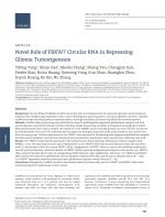 Novel Role of FBXW7 Circular RNA in Repressing Glioma Tumorigenesis