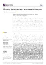 Macrophage Polarization States in the Tumor Microenvironment