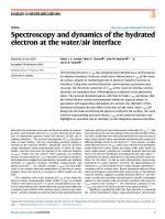Spectroscopy and dynamics of the hydrated electron at the water/air interface