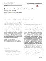 Transition from inflammation to proliferation: a critical step during wound healing