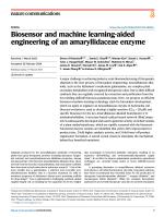 Biosensor and machine learning-aided engineering of an amaryllidaceae enzyme
