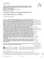 Oxidative stress and redox regulation of lung inflammation in COPD