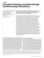 Formation of memory assemblies through the DNA-sensing TLR9 pathway