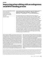 Improving prime editing with an endogenous small RNA-binding protein