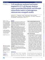 Cell membrane-anchored and tumor-targeted IL-12 T-cell therapy destroys cancer-associated fibroblasts and disrupts extracellular matrix in heterogenous osteosarcoma xenograft models