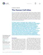 The Human Cell Atlas