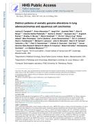 Distinct patterns of somatic genome alterations in lung adenocarcinomas and squamous cell carcinomas