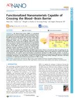 Functionalized Nanomaterials Capable of Crossing the Blood–Brain Barrier