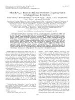 MicroRNA 21 Promotes Glioma Invasion by Targeting Matrix Metalloproteinase Regulators