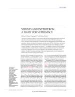 VIRUSES AND INTERFERON: A FIGHT FOR SUPREMACY