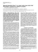 Hypoxia-inducible factor 1 is a basic–helix–loop–helix–PAS heterodimer regulated by cellular O₂ tension