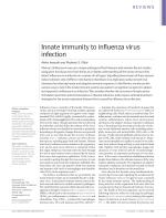 Innate immunity to influenza virus infection