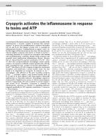 Cryopyrin activates the inflammasome in response to toxins and ATP
