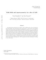 Bulk fields and supersymmetry in a slice of AdS