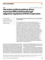 The serine synthesis pathway drives osteoclast differentiation through epigenetic regulation of NFATc1 expression