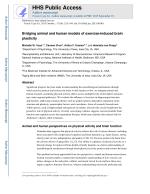 Bridging animal and human models of exercise-induced brain plasticity