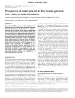 Prevalence of quadruplexes in the human genome