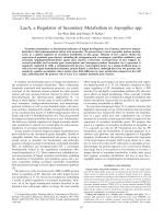 LaeA, a Regulator of Secondary Metabolism in Aspergillus spp.