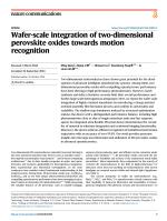 Wafer-scale integration of two-dimensional perovskite oxides towards motion recognition