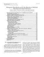 Phylogenetic Identification and In Situ Detection of Individual Microbial Cells without Cultivation