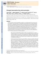 Divergent transcription from active promoters