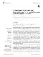 Commentary: Structural and functional features of central nervous system lymphatic vessels