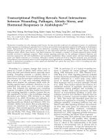 Transcriptional Profiling Reveals Novel Interactions between Wounding, Pathogen, Abiotic Stress, and Hormonal Responses in Arabidopsis