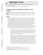The gene encoding the splicing factor SF2/ASF is a proto-oncogene