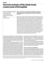Network statistics of the whole-brain connectome of Drosophila