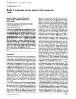 Cyclin A is required at two points in the human cell cycle
