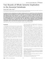 Two Rounds of Whole Genome Duplication in the Ancestral Vertebrate