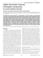 Highly Nonrandom Features of Synaptic Connectivity in Local Cortical Circuits