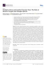 Oxidative Stress and Cerebral Vascular Tone: The Role of Reactive Oxygen and Nitrogen Species