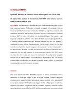 Epithelial Plasticity: A Common Theme in Embryonic and Cancer Cells