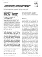 A lysosome-to-nucleus signalling mechanism senses and regulates the lysosome via mTOR and TFEB