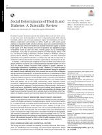 Social Determinants of Health and Diabetes: A Scientific Review